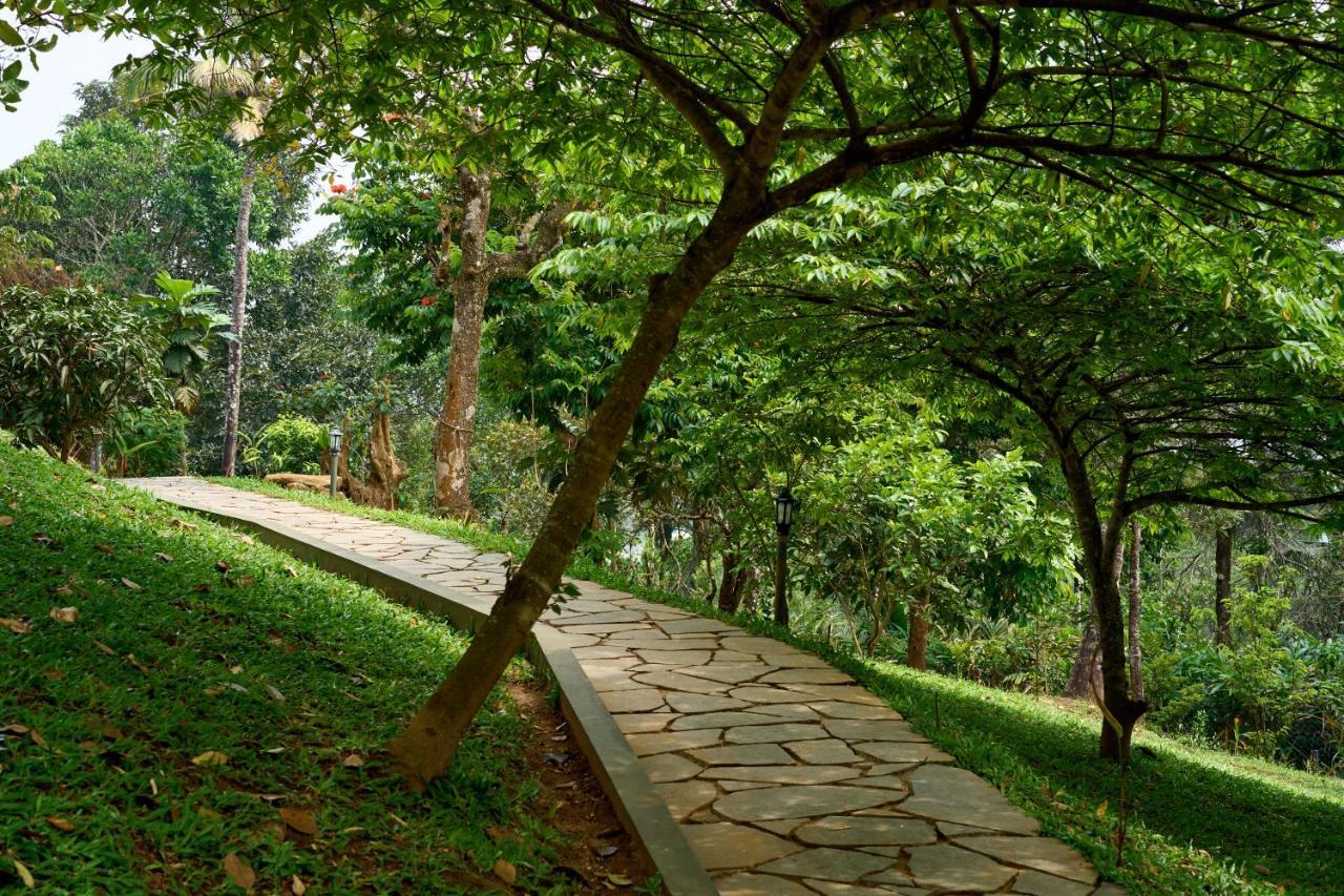 Haze And Kites Resort Munnar Dış mekan fotoğraf