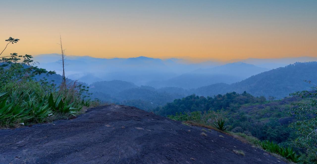 Haze And Kites Resort Munnar Dış mekan fotoğraf
