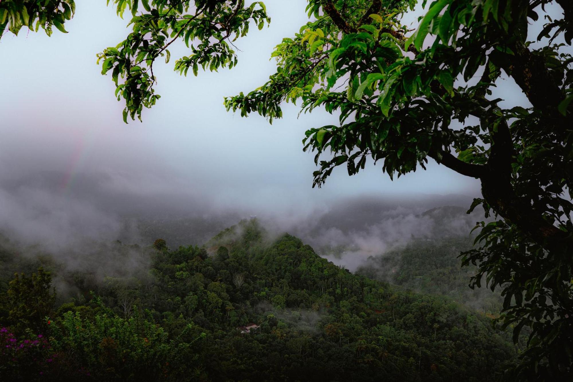 Haze And Kites Resort Munnar Dış mekan fotoğraf
